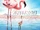 The Crimson Wing: Mystery of the Flamingos