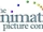 The Animation Picture Company