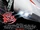 Speed Racer (film)
