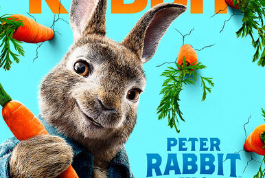Is the Order a Rabbit? (TV Series 2014– ) - IMDb