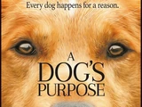 A Dog's Purpose (film)