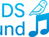 Nintendo 3DS Sound