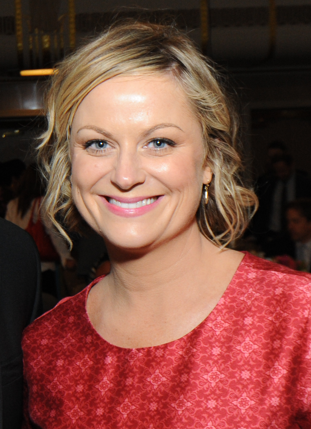 Amy Poehler The JH Movie Collection s Official Wiki Fandom