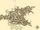 Cordonis.png