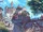 Arno's Gambit
