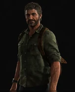 Joel nel 2033