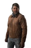 Joel nel 2038