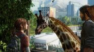 Ellie con una giraffa.