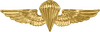 Naval Parachutist insignia
