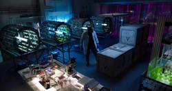 Paul Vellek's lab