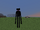 Endermen