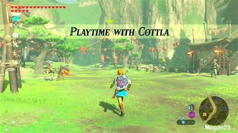 Botw sale online play