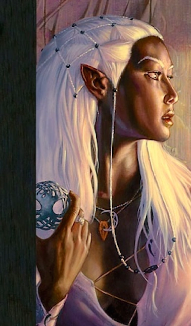 Dark Elf | The Legendary Moonlight Sculptor Wiki | Fandom