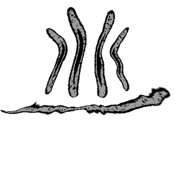 Z-242 | The Liminal Rooms Ideas Wiki | Fandom