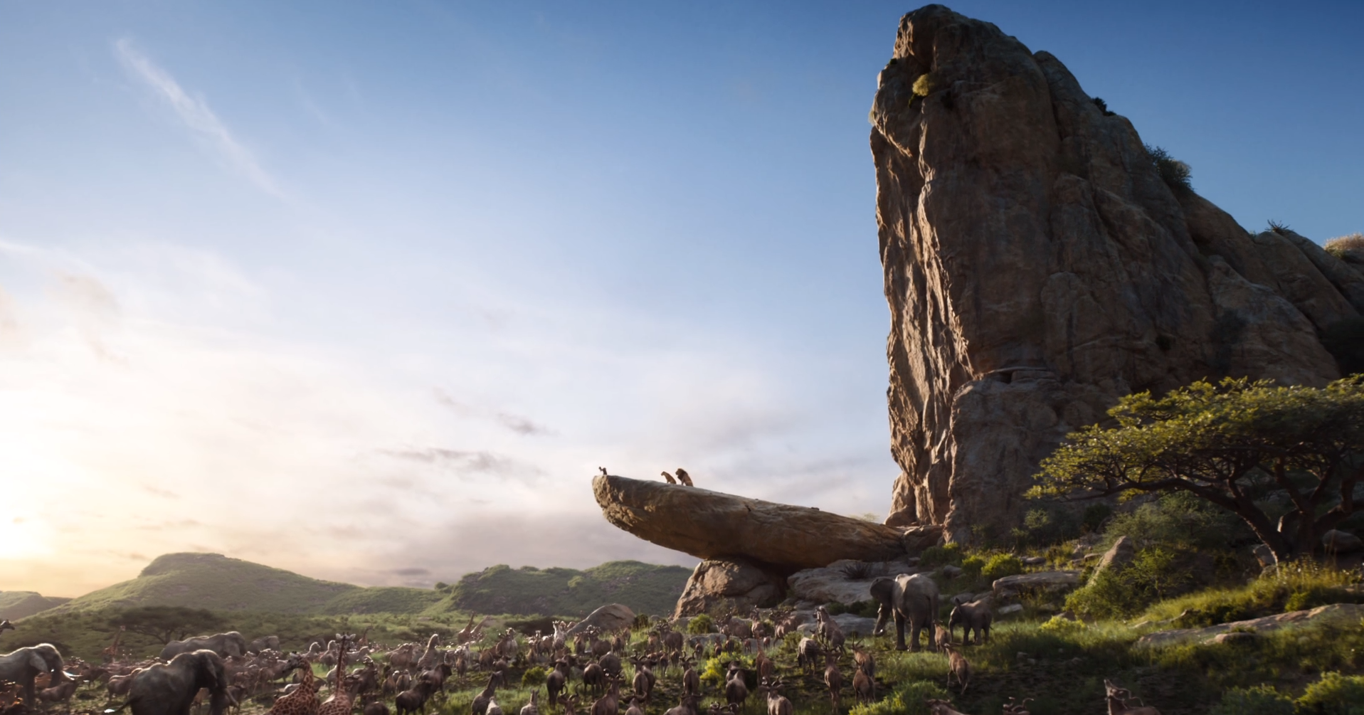 Pride Rock | The Lion King (2019 film) Wiki | Fandom