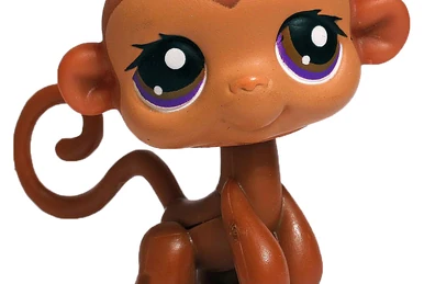 Hasbro Littlest PetShop Gourmand Coon Cat - Figurine pour enfant