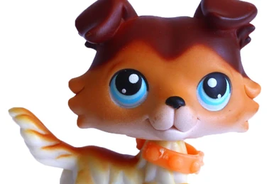 Littlest Pet Shop Collie #893, authentique figurine pour