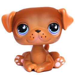 Littlest pet shop fitness center hotsell