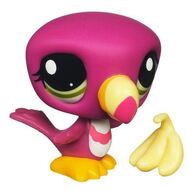Lps toucan online