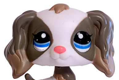 Spaniel 672 Littlest Pet Shop Collector s Wiki Fandom