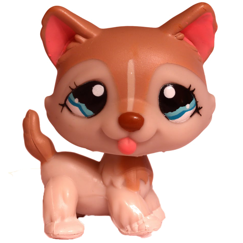 https://static.wikia.nocookie.net/the-littlest-pet-shop-wikia/images/1/16/1012-Husky-LPS-1.jpg/revision/latest?cb=20220718134840