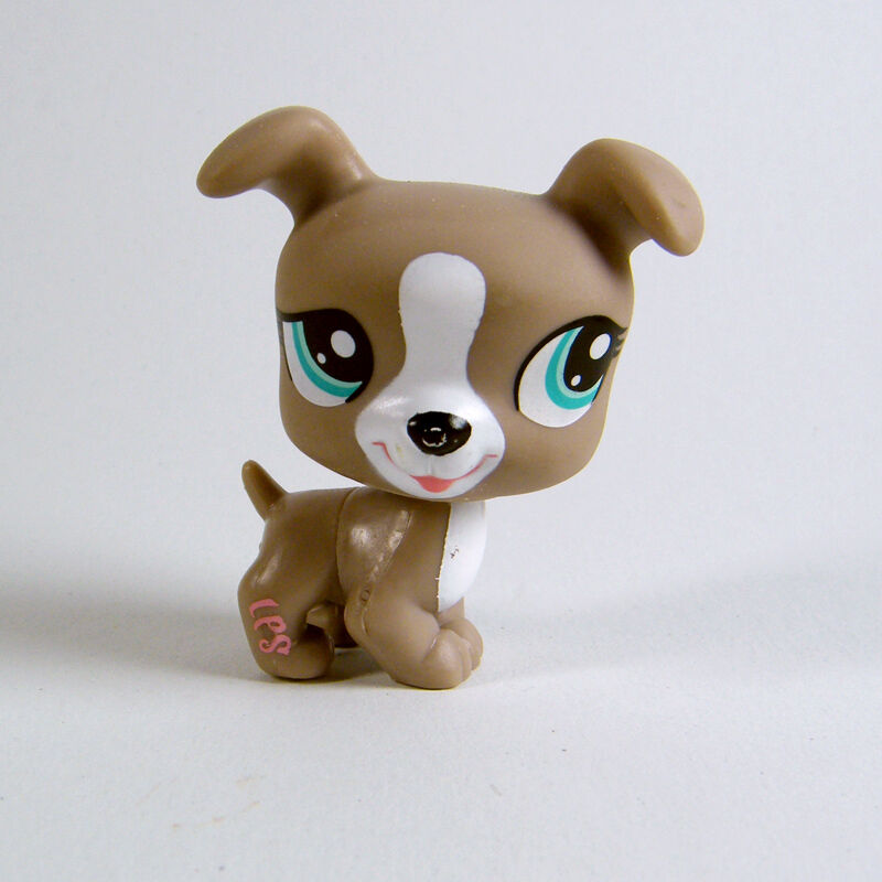 LPS Number 16, Littlest pet shop collector's Wiki