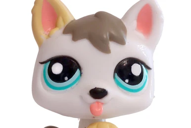 Figurine Littlest Pet Shop Hasbro - Husky #2439 - Occasion