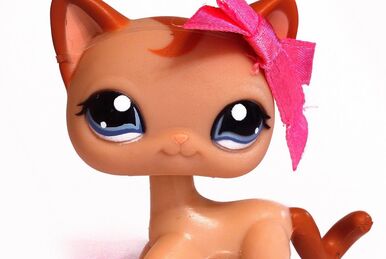 Lps shorthair cat 3573 sales