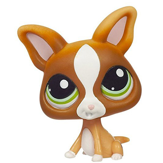 Chihuahua 1568 | Littlest Pet Shop Collector's Wiki | Fandom