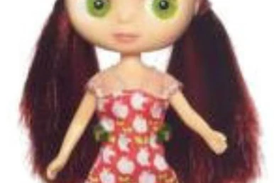 Blythe B15 + Petshop Corgi 🌺scooter