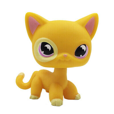 Lps shorthair cat yellow hotsell