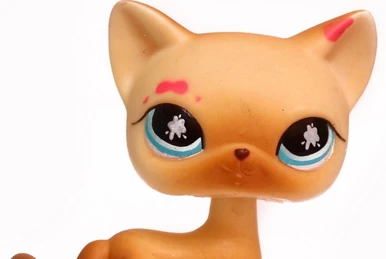 Littlest Pet Shop LPS N°733 Chat Européen Original HASBRO - Authentique