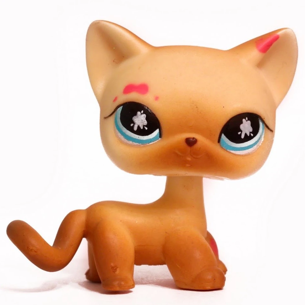 Shorthair Cat 816 | Littlest Pet Shop Collector's Wiki | Fandom, image size:987x987