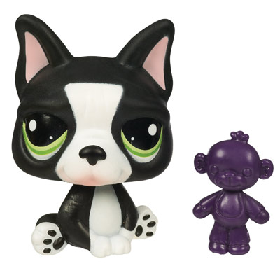 French Bulldog 1762 Littlest Pet Shop Collector s Wiki Fandom