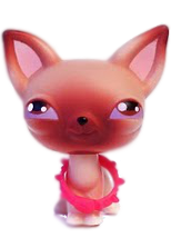 Chihuahua 001 | Littlest Pet Shop Collector's Wiki | Fandom