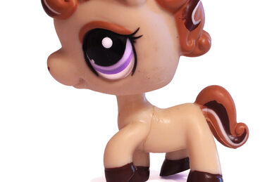 Pet House, Littlest Pet Shop Collector's Wiki