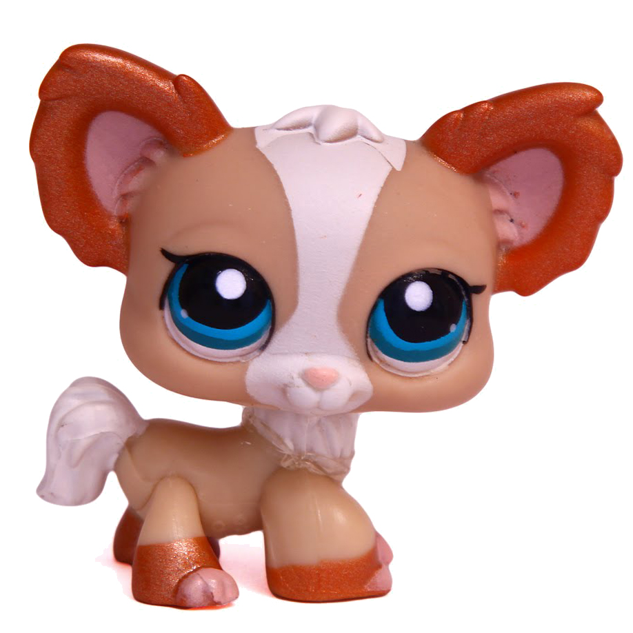 Chihuahua 1082 | Littlest Pet Shop Collector's Wiki | Fandom