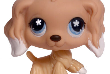 Lps 748 shop