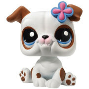 Buy Littlest Petshop LPS 2106 Bulldog Figure Online in India 