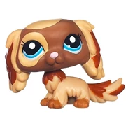 Littlest Pet Shop 2570 LPS authentique marron bronzé King Charles Cavalier Spaniel Dog | eBay