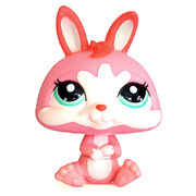 Amazon.com: Petit lapin: 9782700046885: Books