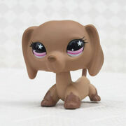 556 LPS Dachshund, Littlest pet shop Wiki