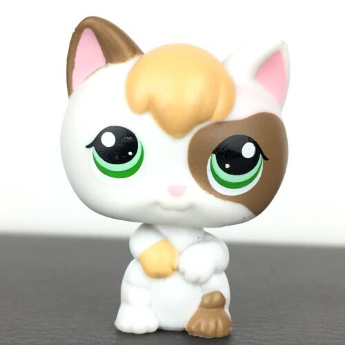 Calico lps outlet