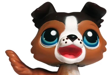 Figurine Littlest Pet Shop – Collie #1676 – Lot 233 – Hasbro