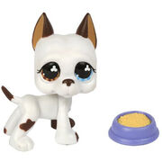 LPS Number 16, Littlest pet shop collector's Wiki