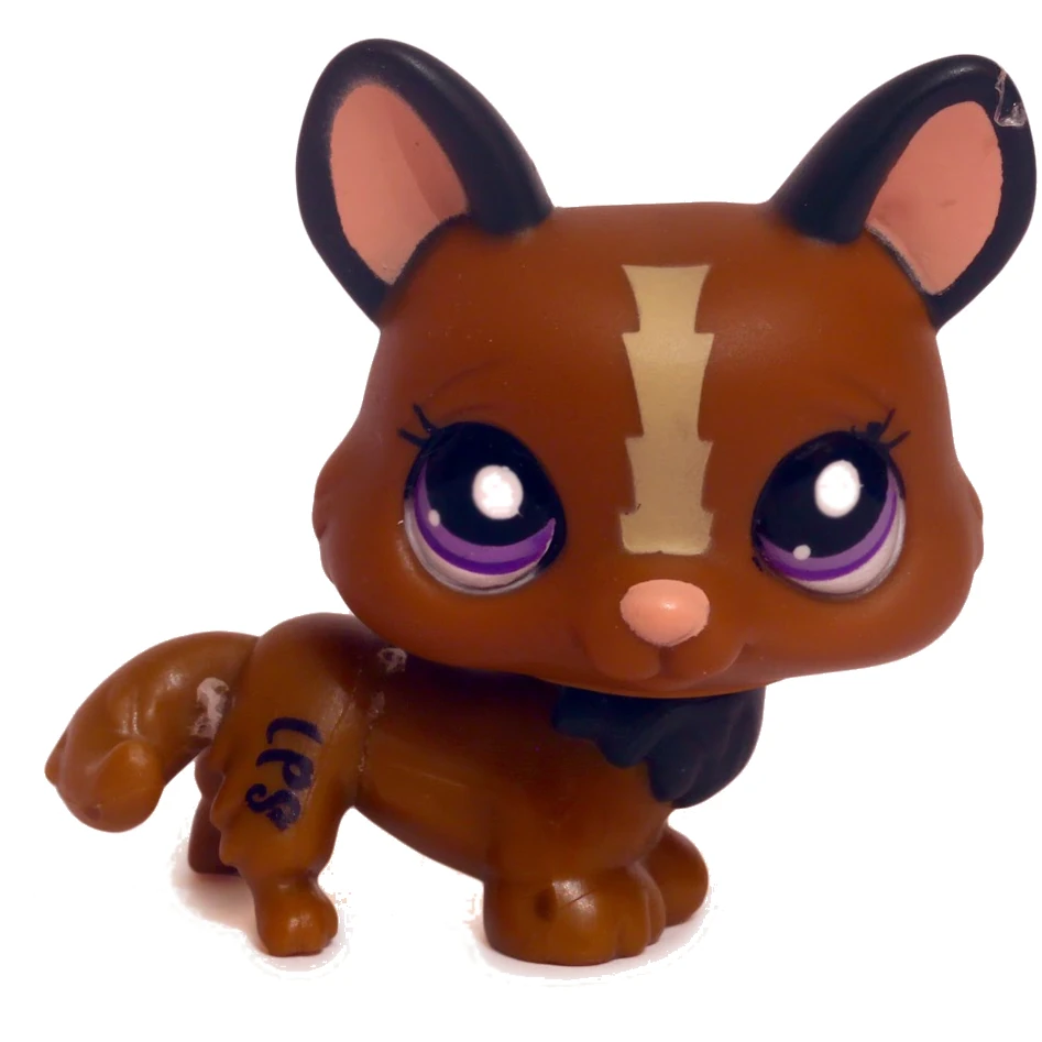 556 LPS Dachshund, Littlest pet shop Wiki