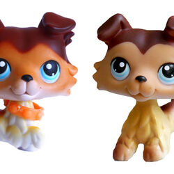 Littlest pet shop number list shop