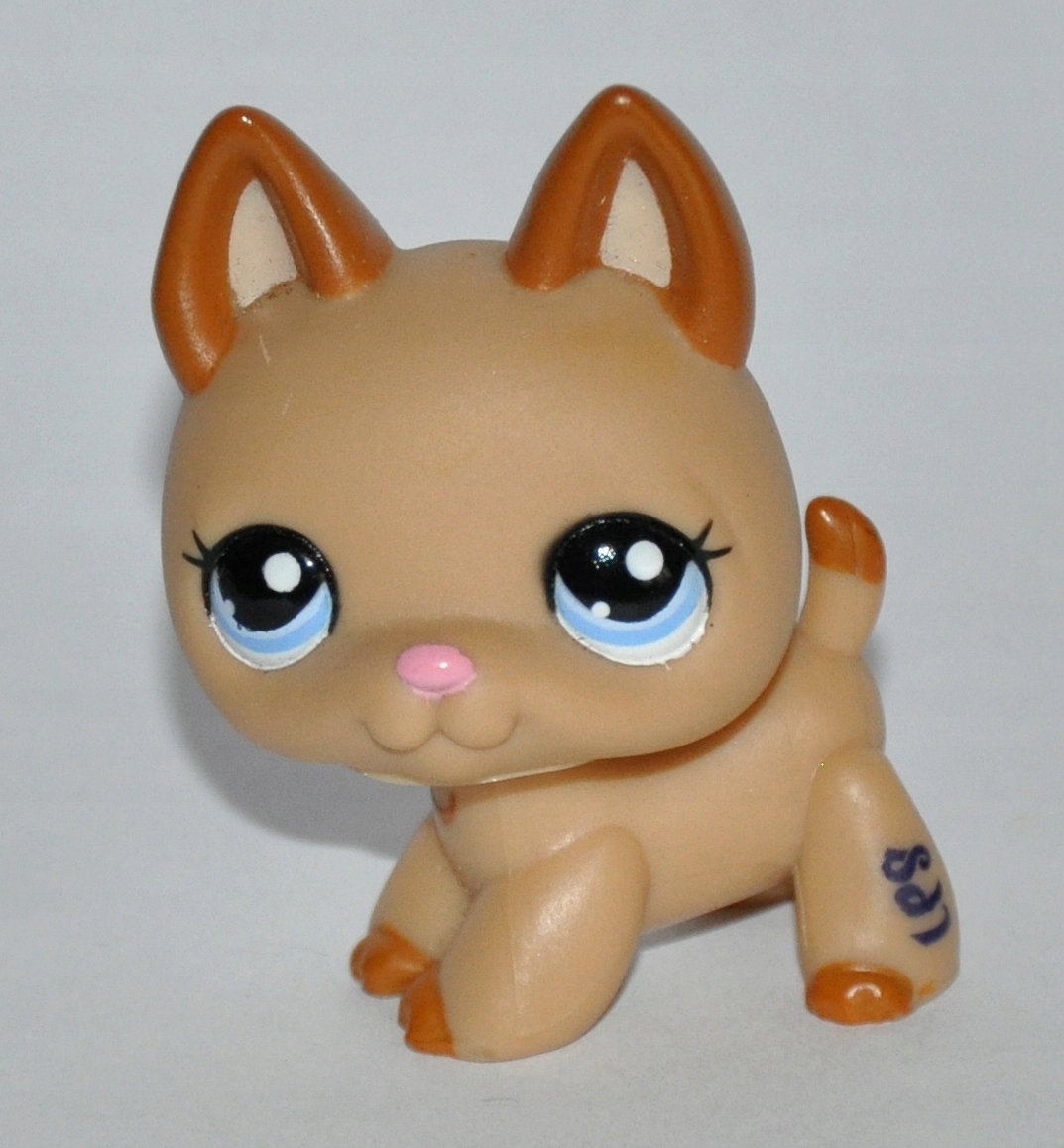 Littlest Pet Shop Shorthair Cat # 2194 Advent Calendar with cute