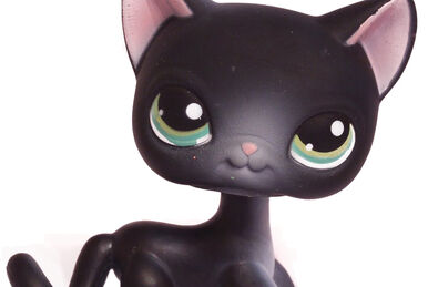 Lps black shorthair cat sales