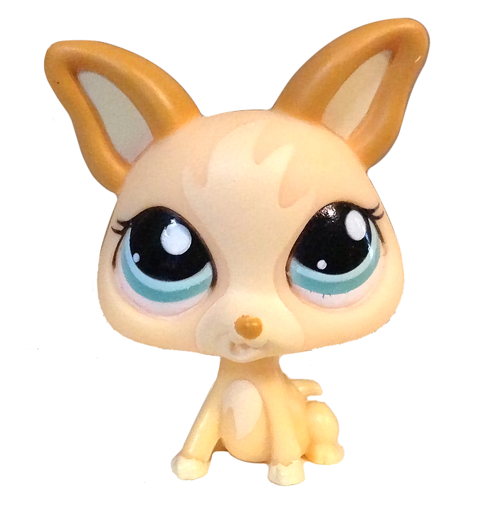 Chihuahua 1656 | Littlest Pet Shop Collector's Wiki | Fandom